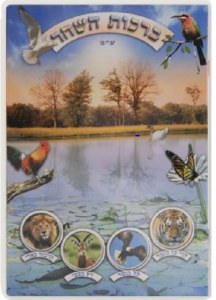 Picture of Birchas HaShachar Laminated Booklet Hebrew Edut Mizrach Bird Cover Design